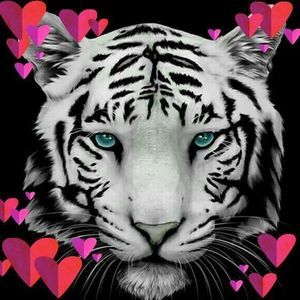 Meet your Posher, Whyte